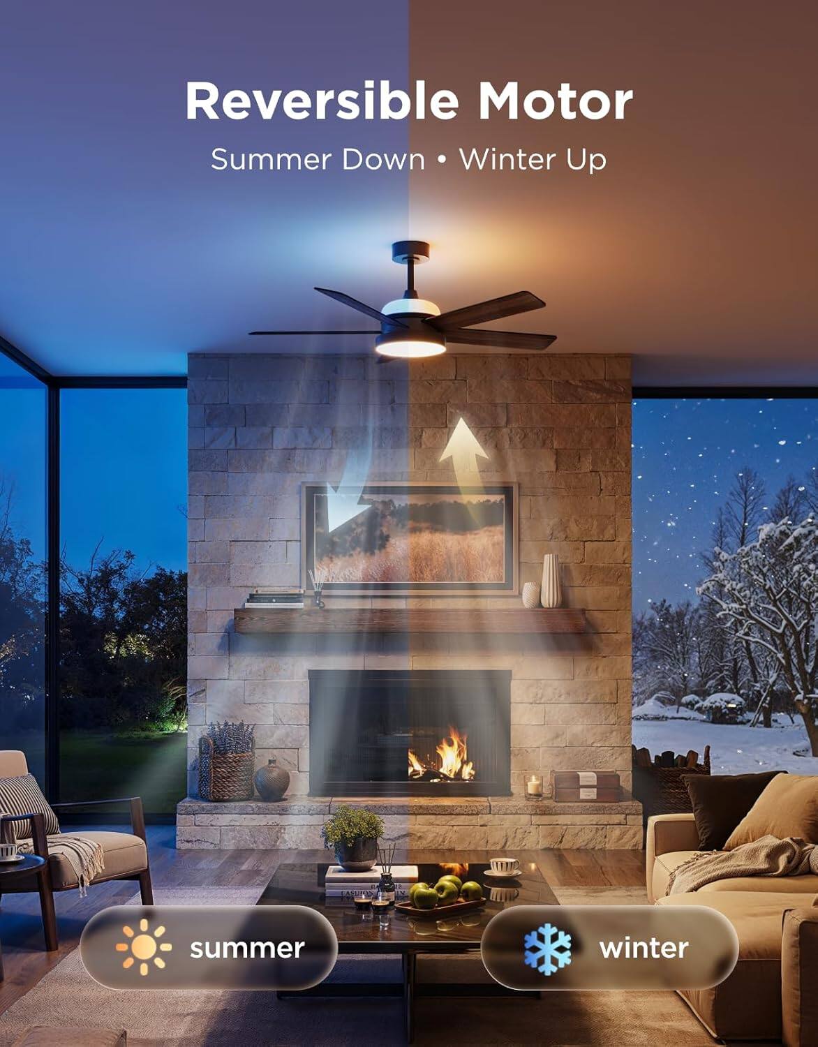Reversible Motor  
Summer Down • Winter Up  
summer  
winter