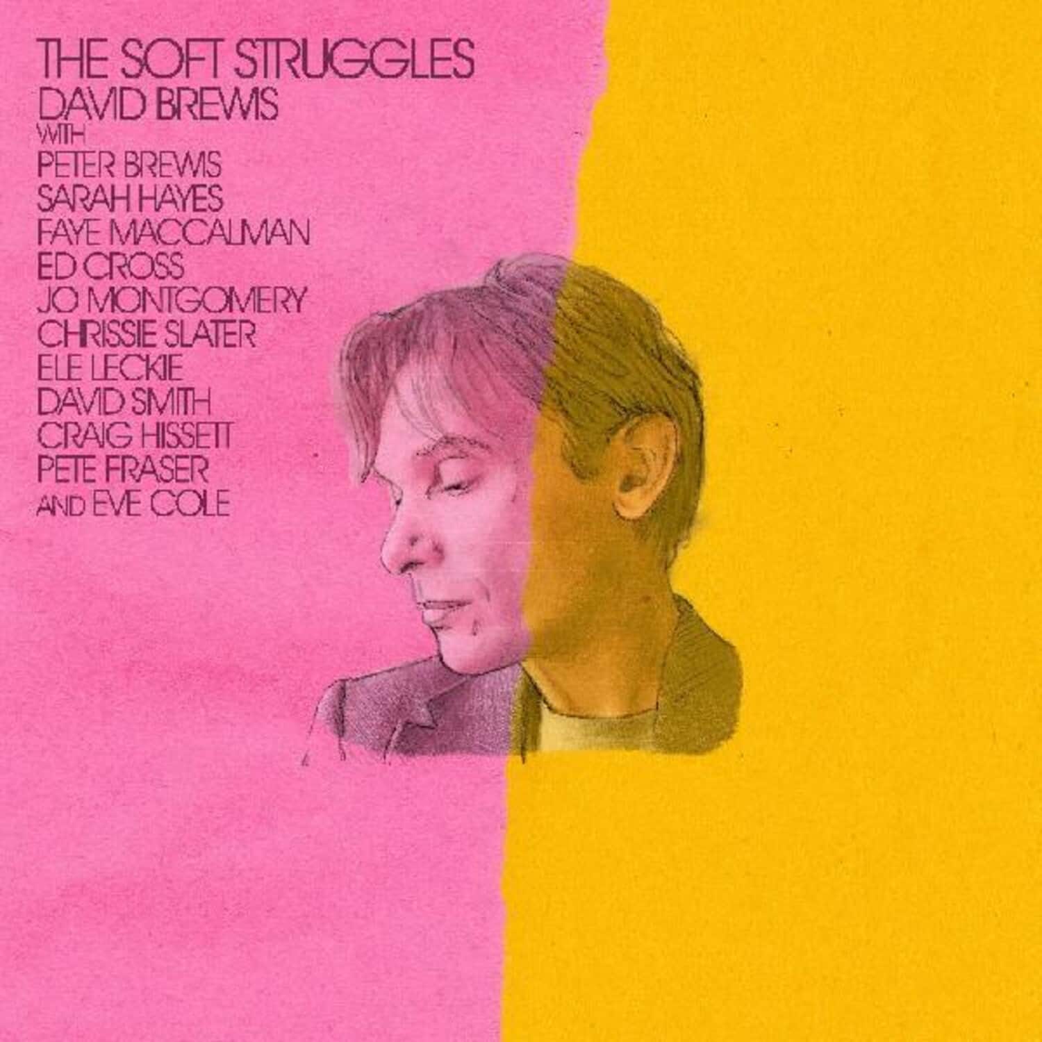 David Brewis - The Soft Struggles   - VINYL LP price history on PriceWatchPro