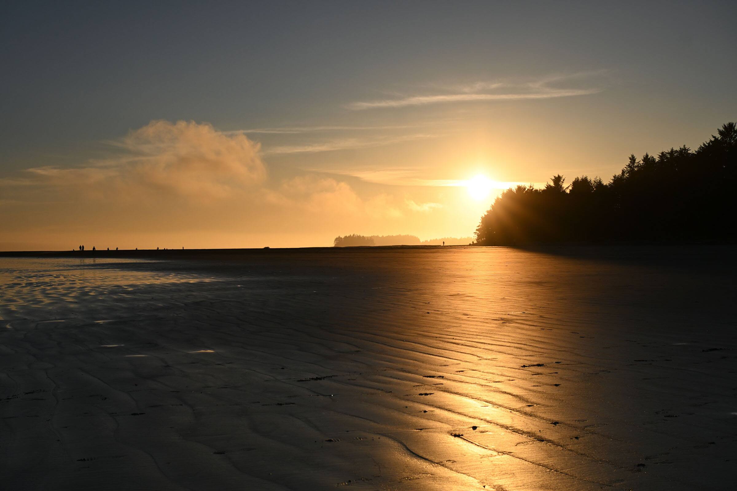 Alt View 10. Nikon - Nikon NIKKOR Z DX MC 35mm f/1.7 Prime Mirrorless Lens - Black.