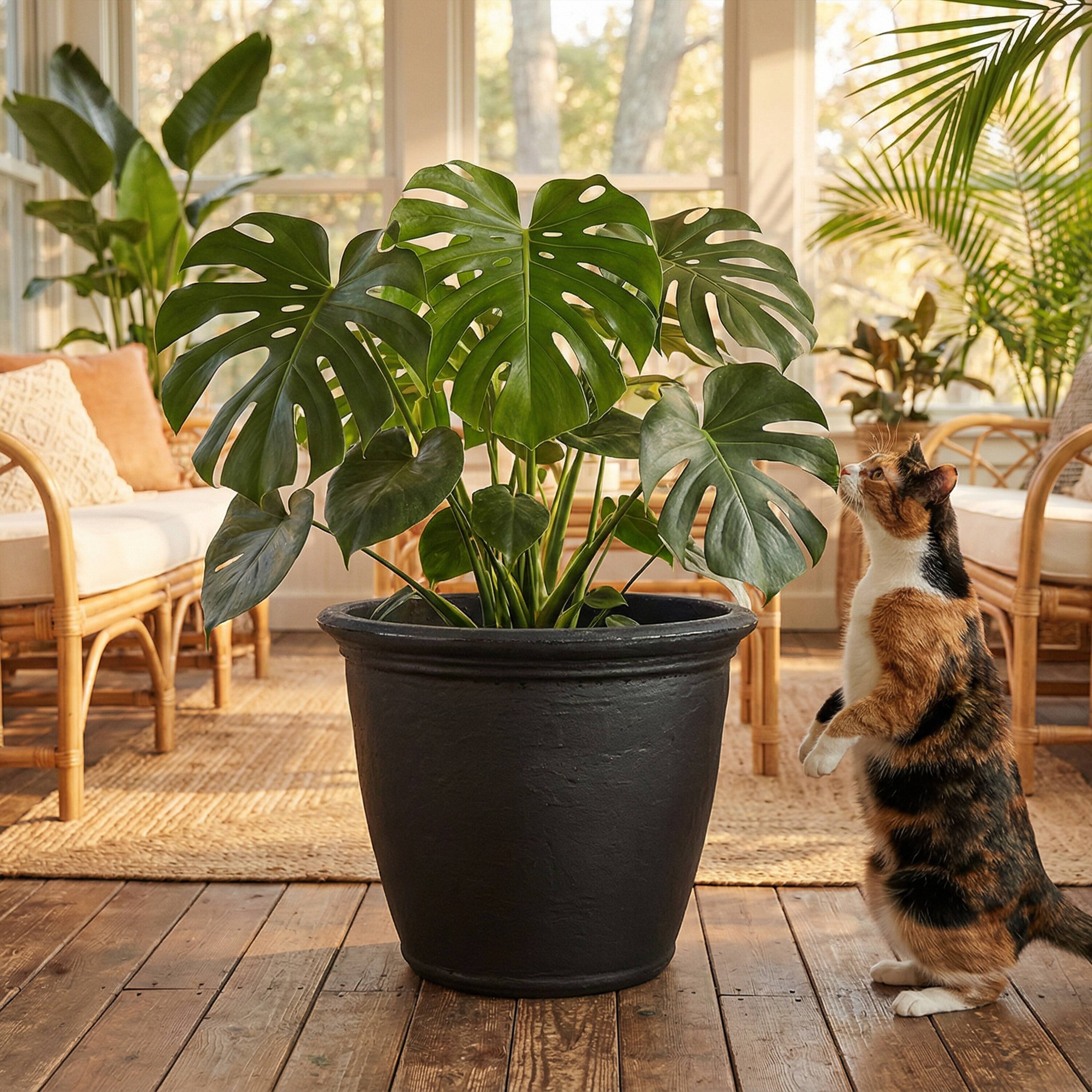 Alt View 8. Sunnydaze - 20 in Anjelica Dual-Wall Polyresin Planter - Set of 2 - Matte Black.