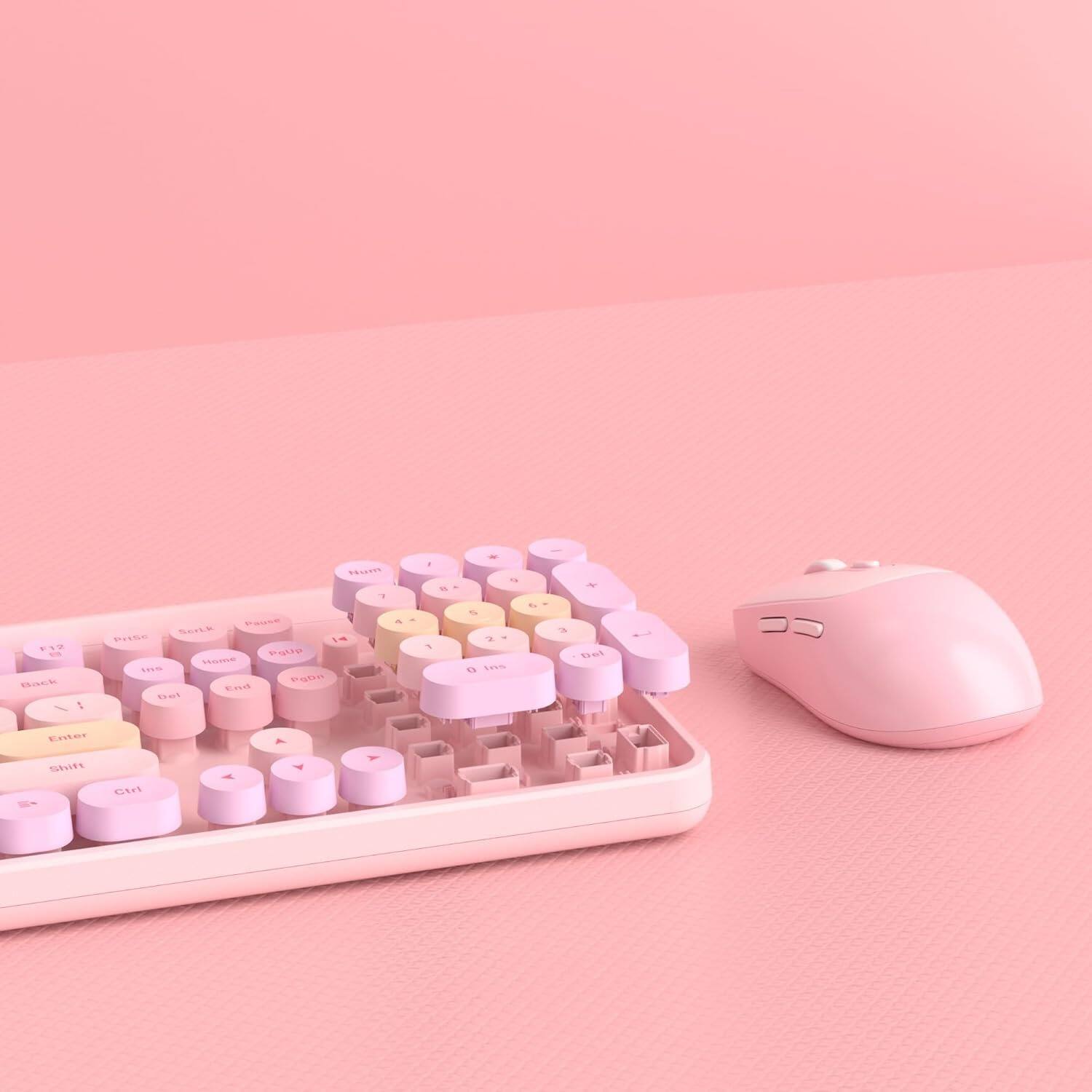 - Back & - . A - AE miNE L V Fglla SAcE .. FAN us D - - - S - E sas   N Bat Eatar & SEVIFS - Cin -