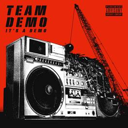 Team Demo - It's A Demo - VINYL LP