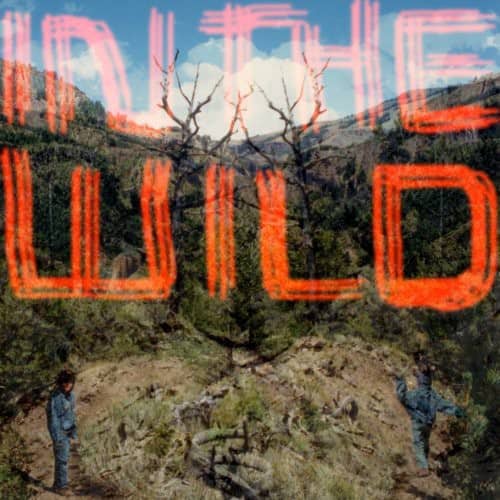 FaltyDL - In the Wild   - VINYL LP price history on PriceWatchPro