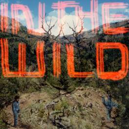 FaltyDL - In the Wild - VINYL LP
