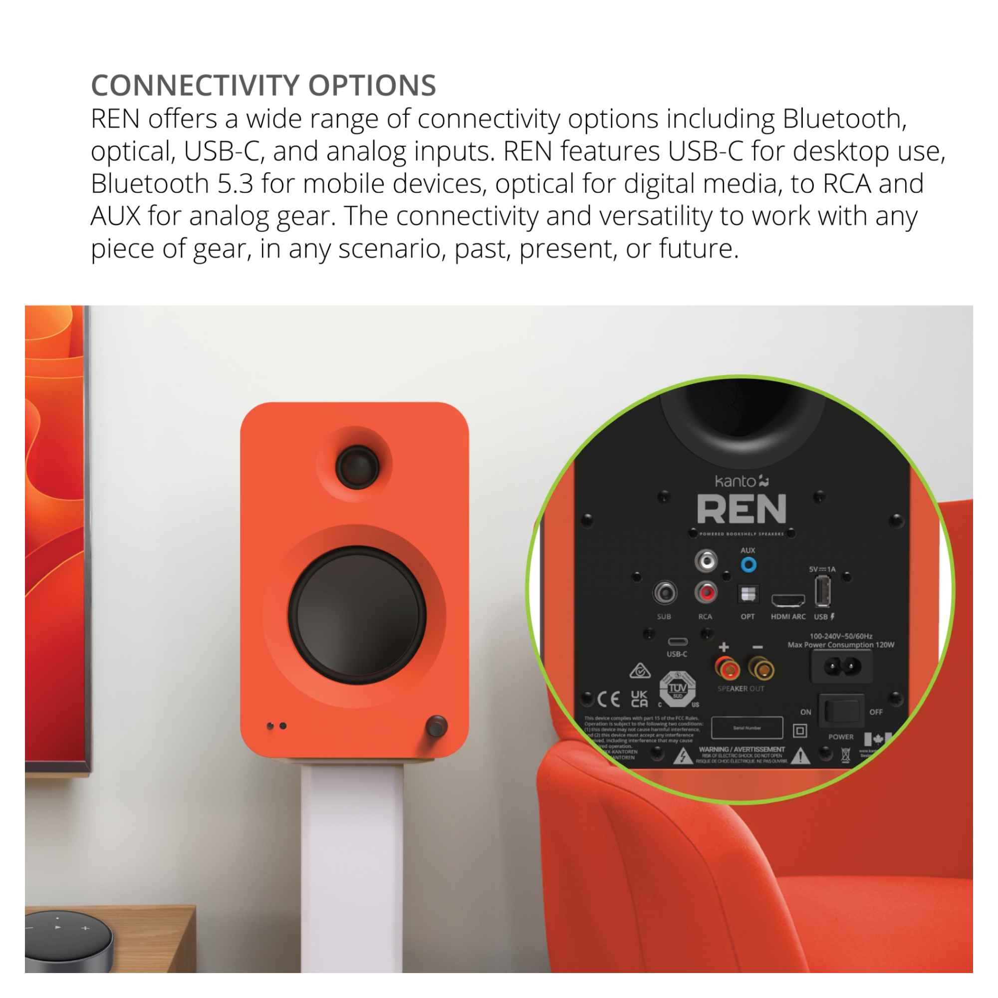 CONNECTIVITY OPTIONS

REN offers a wide range of connectivity options including Bluetooth, optical, USB-C, and analog inputs. REN features USB-C for desktop use, Bluetooth 5.3 for mobile devices, optical for digital media, to RCA and AUX for analog gear. The connectivity and versatility to work with any piece of gear, in any scenario, past, present, or future.