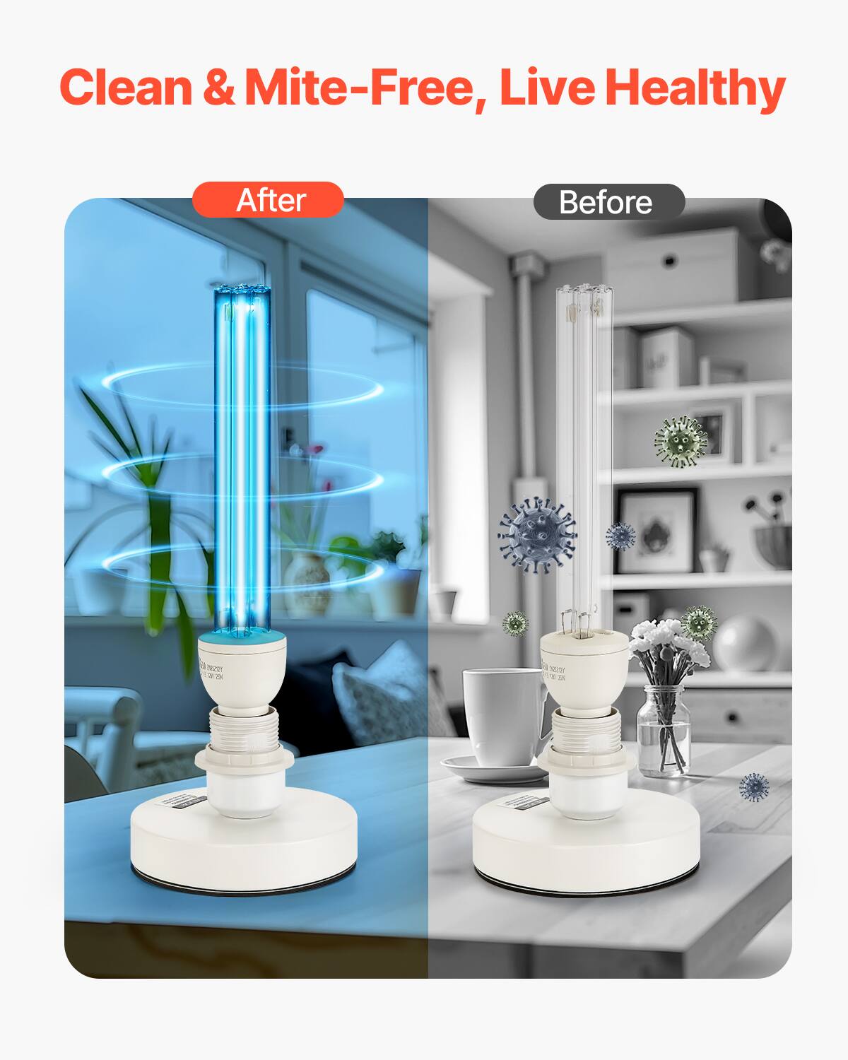 Clean & Mite-Free, Live Healthy

After | Before