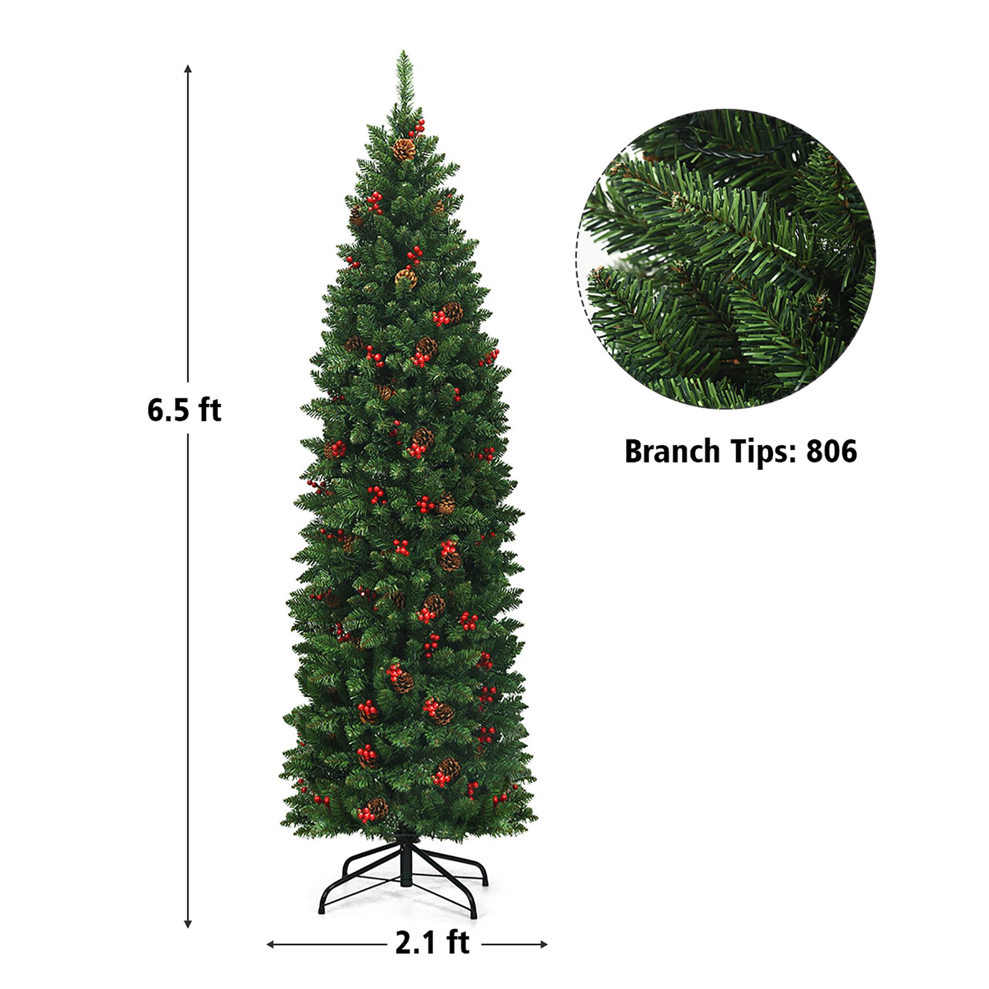 6.5 ft  
Branch Tips: 806  
2.1 ft