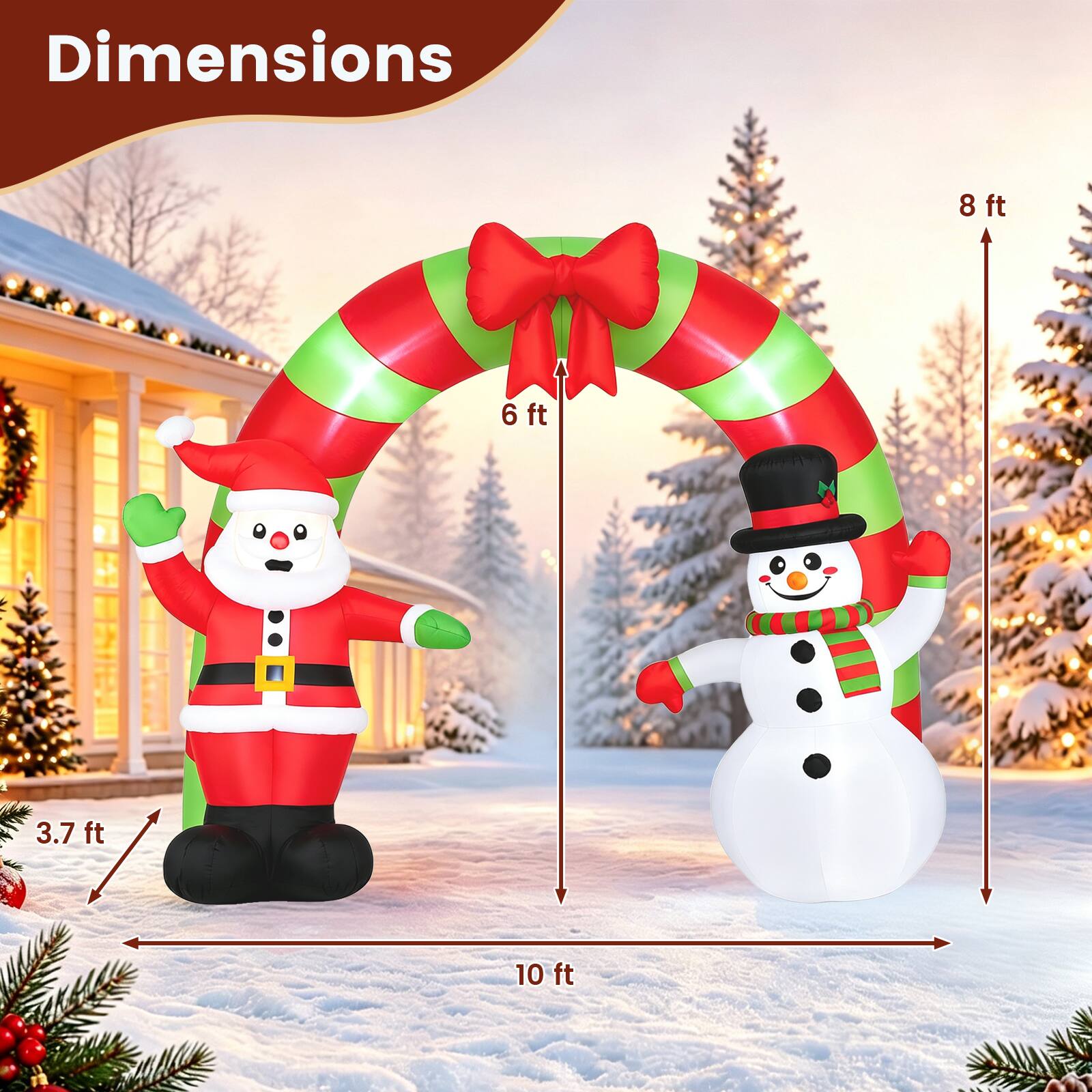 Dimensions
8 ft
6 ft
3.7 ft
10 ft