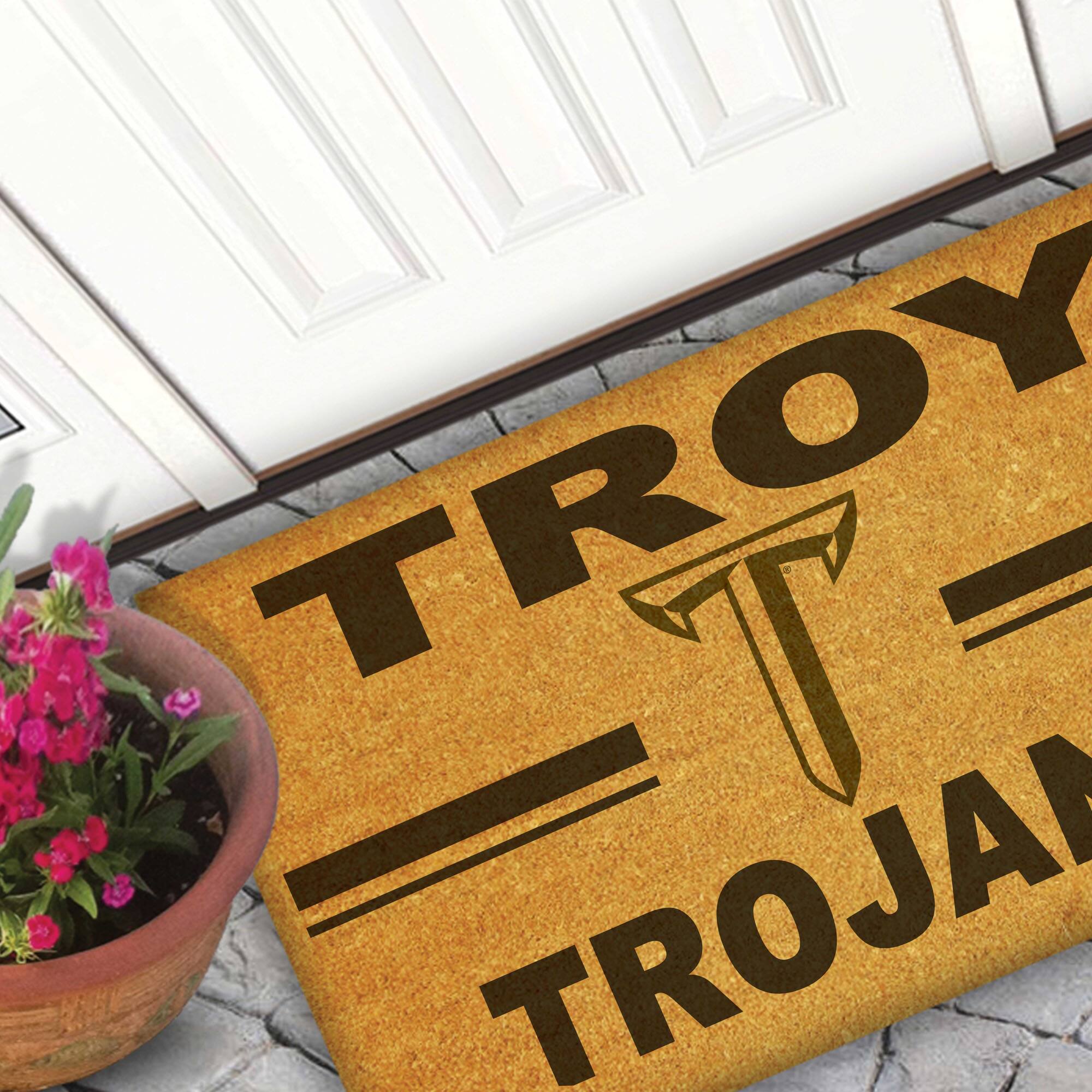 TROY TROJAN