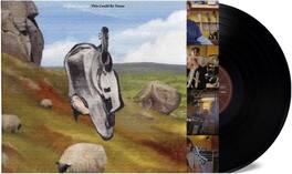 English Teacher - This Could Be Texas - Black Vinyl - VINYL LP