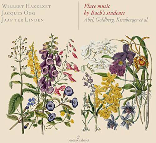Kirnberger / Goldberg / Abel / Muethel / Krebs - Flute Music By Bach's Students   - COMPACT DISCS [CD] price history on PriceWatchPro