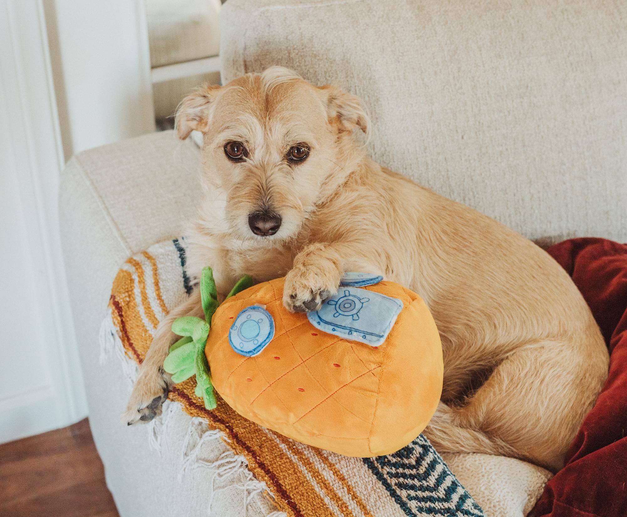 Alt View 4. Nickelodeon - Nickelodeon SpongeBob SquarePants Pineapple House Squeaky Pet Toy Plush - Multi-Colored.