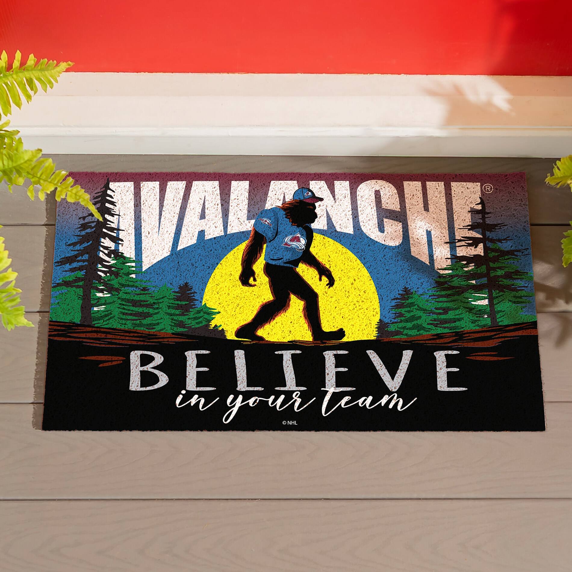VALANCHE  
BELIEVE in your team  
NHL