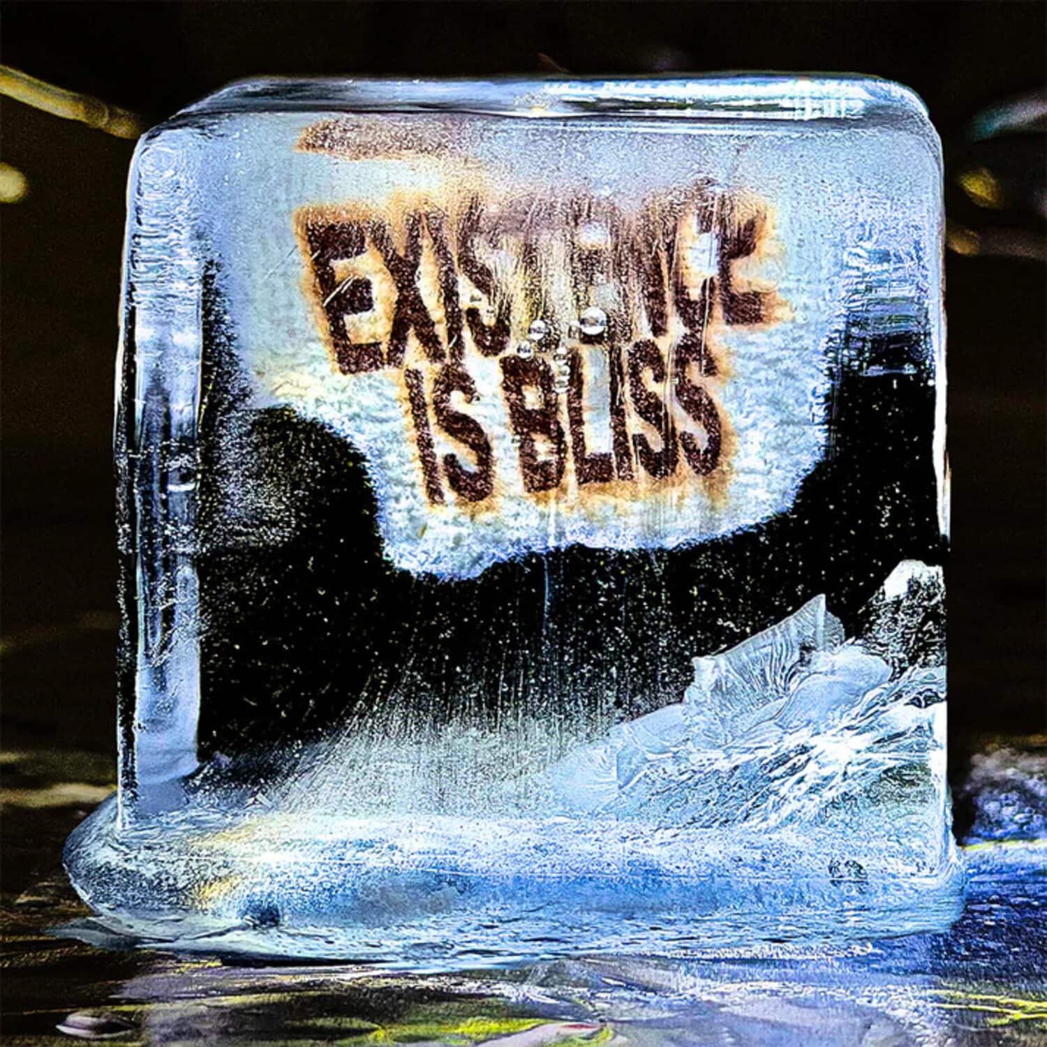 Deadletter - Existence Is Bliss - Autographed Transparent Glitter Colored Vinyl   - VINYL LP price history on PriceWatchPro
