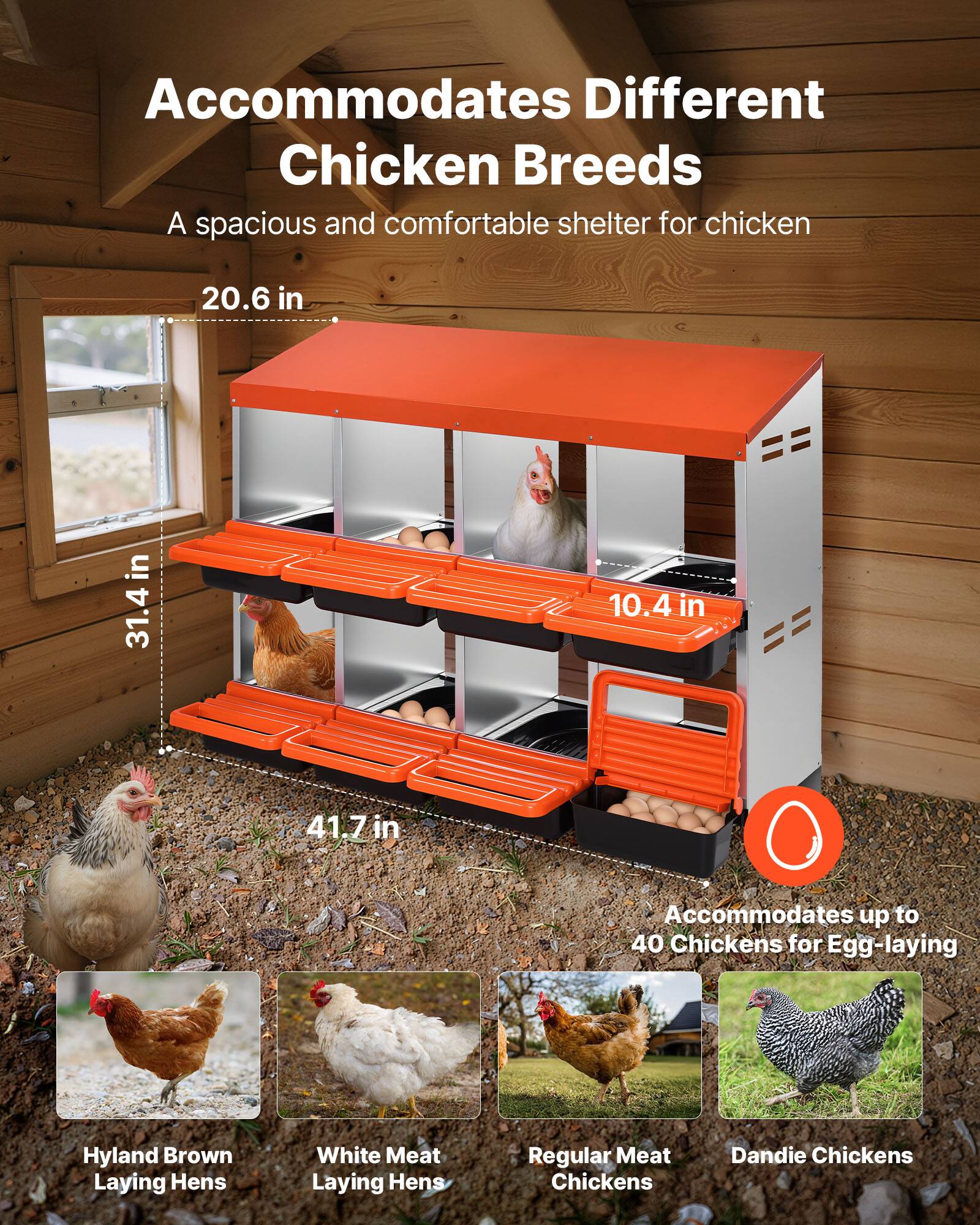 Accommodates Different Chicken Breeds  
A spacious and comfortable shelter for chicken  

20.6 in  
31.4 in  
10.4 in  
41.7 in  

Accommodates up to 40 Chickens for Egg-laying  

Hyland Brown Laying Hens  
White Meat Laying Hens  
Regular Meat Chickens  
Dandie Chickens