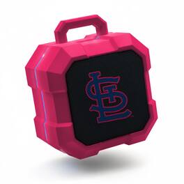 LDM Company - Bluetooth Tailgate Speaker - Multicolor