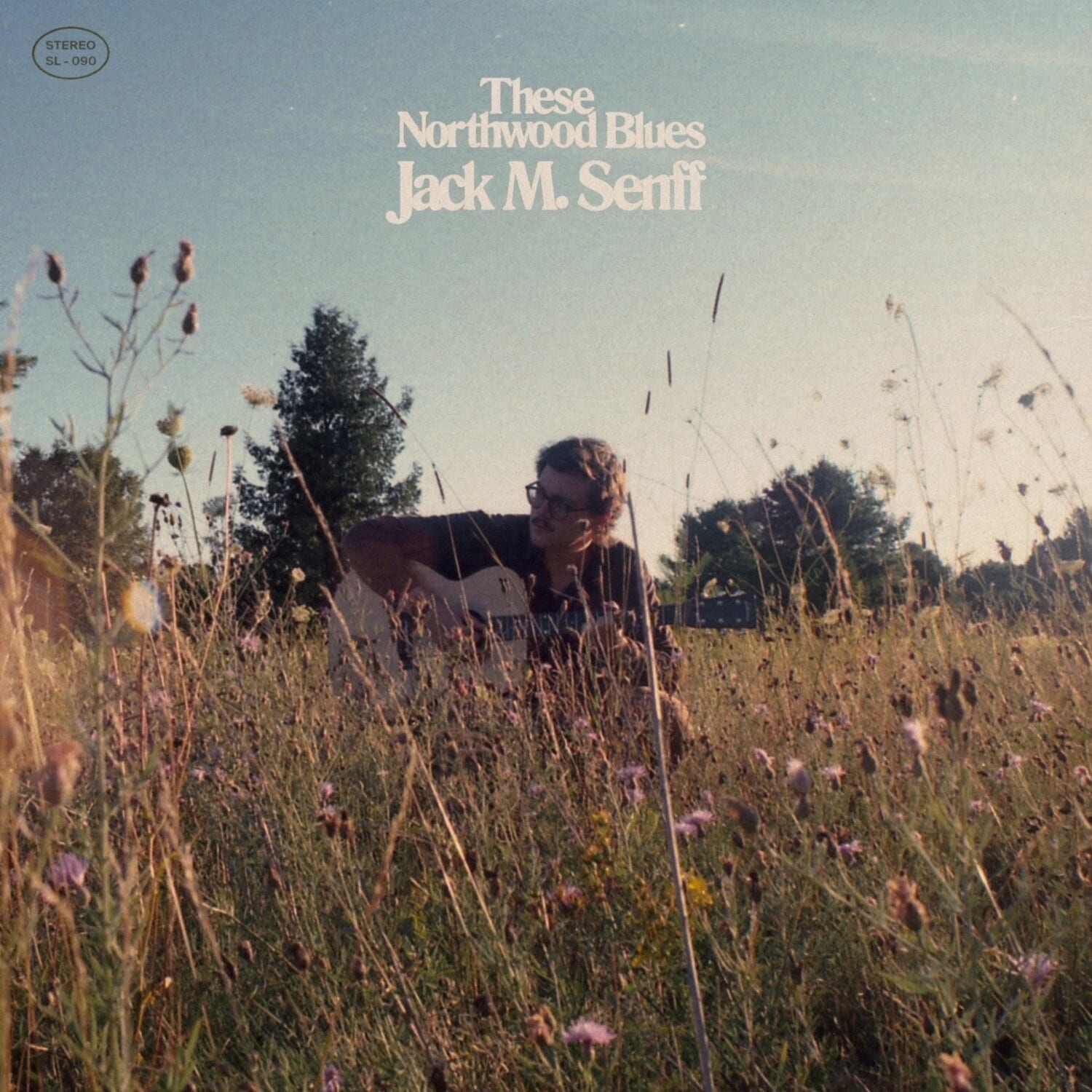 Jack M Senff - These Northwood Blues   - COMPACT DISCS [CD] price history on PriceWatchPro