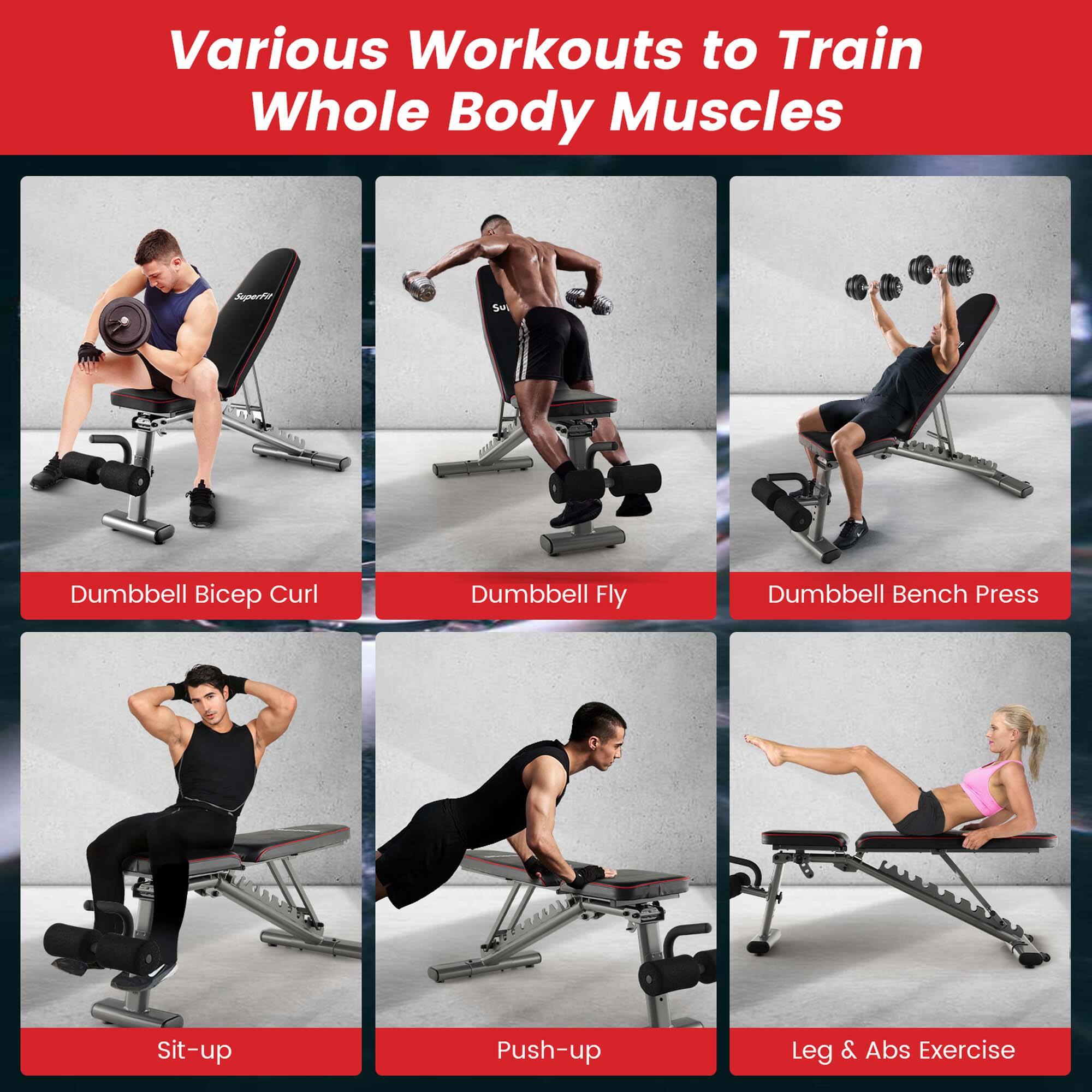 Various Workouts to Train Whole Body Muscles:

1. Dumbbell Bicep Curl
2. Dumbbell Fly
3. Dumbbell Bench Press
4. MTB Sit-up
5. Push-up
6. Leg & Abs Exercise