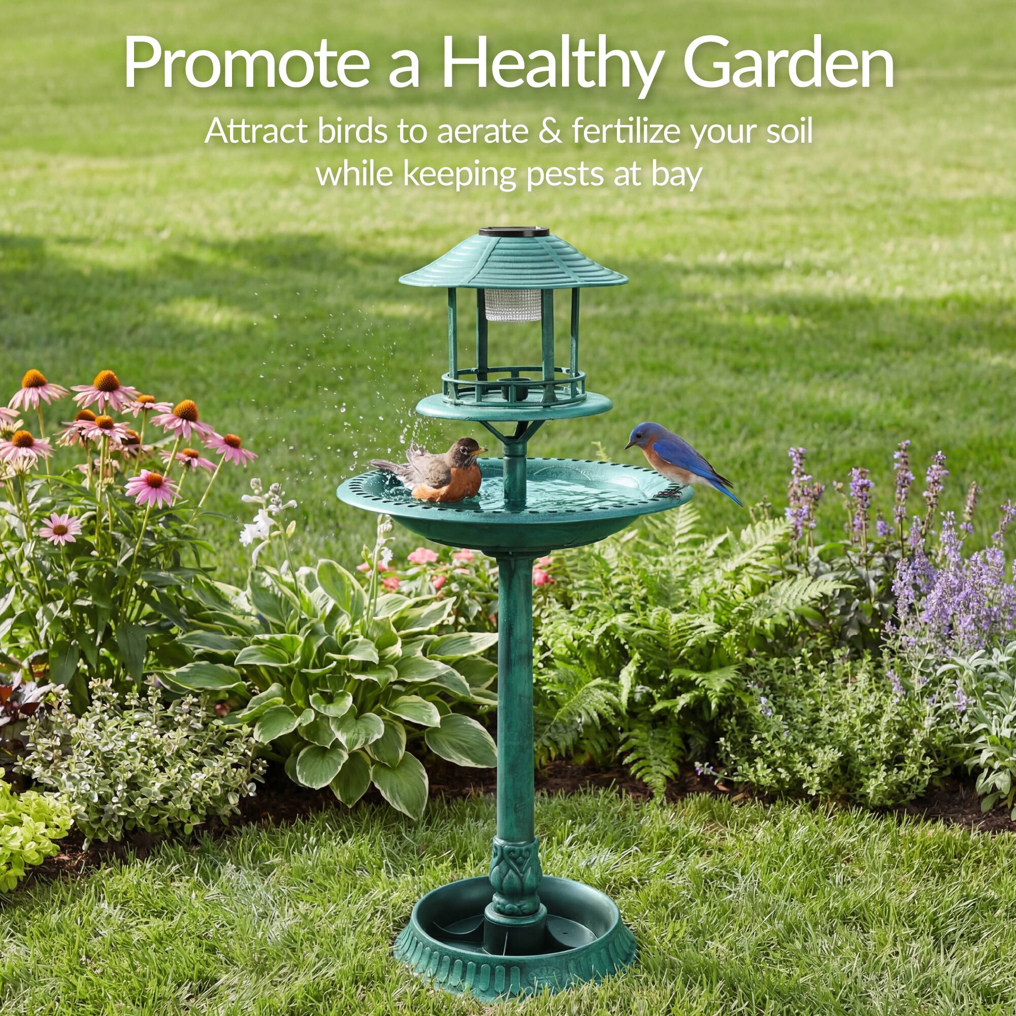 Promote a Healthy Garden  
Attract birds to aerate & fertilize your soil while keeping pests at bay