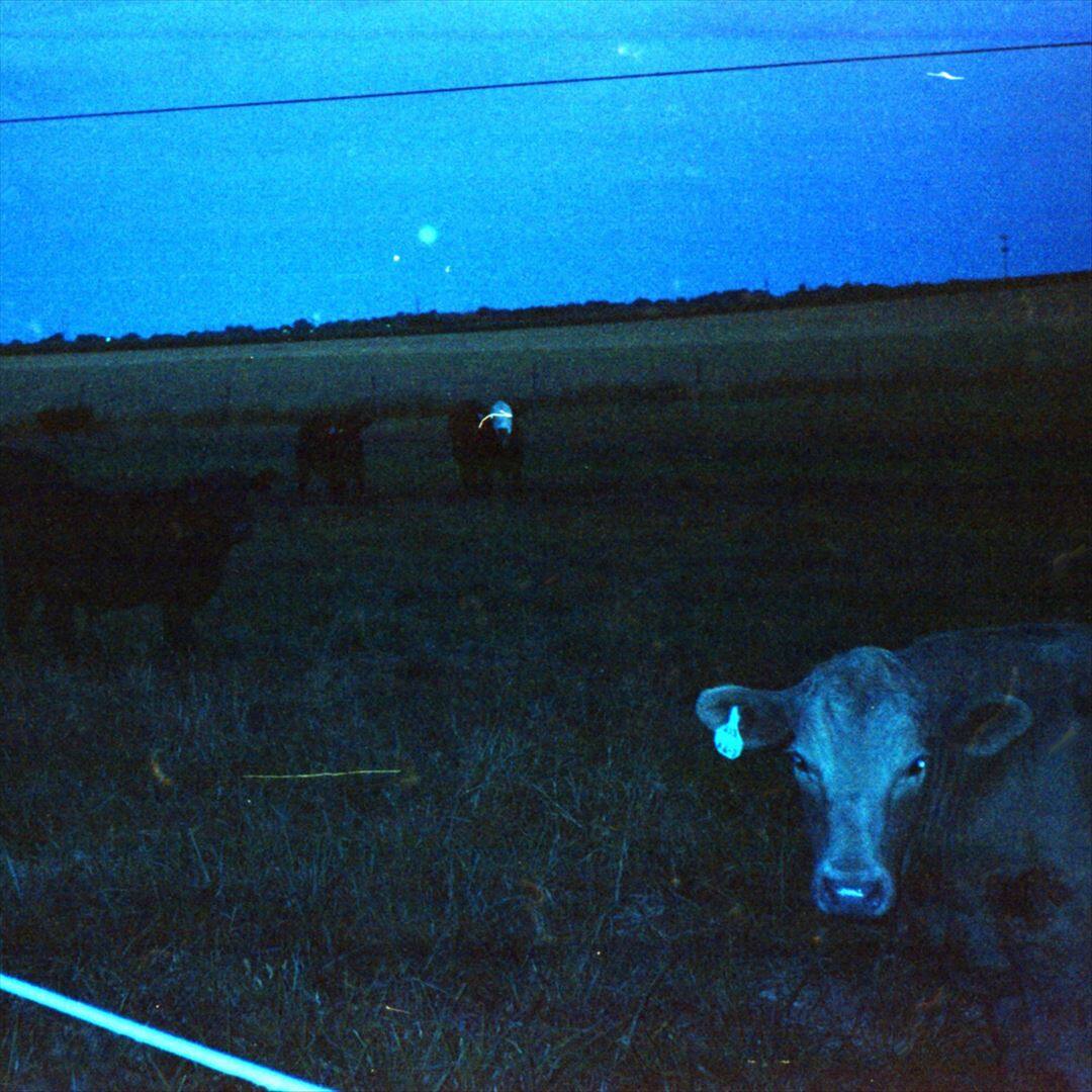 Front. Antarctica [LP].