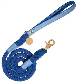PoisePup - Pet Dog 5ft Long Leash - Blue