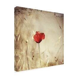 Trademark Fine Art - Ala Pneuma Alone Canvas Art - 18 x 18 Inches - 18x18 - Multicolor