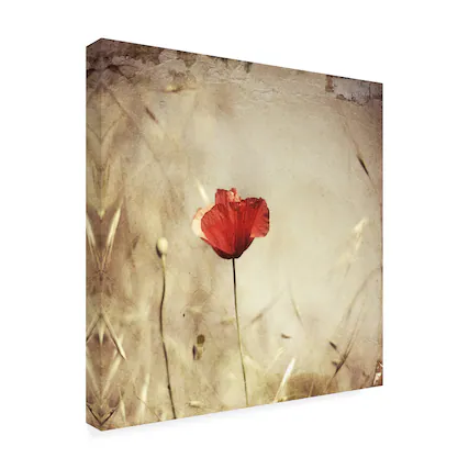 Front. Trademark Fine Art - Ala Pneuma Alone Canvas Art - 24 x 24 Inches - 24x24 - Multicolor.