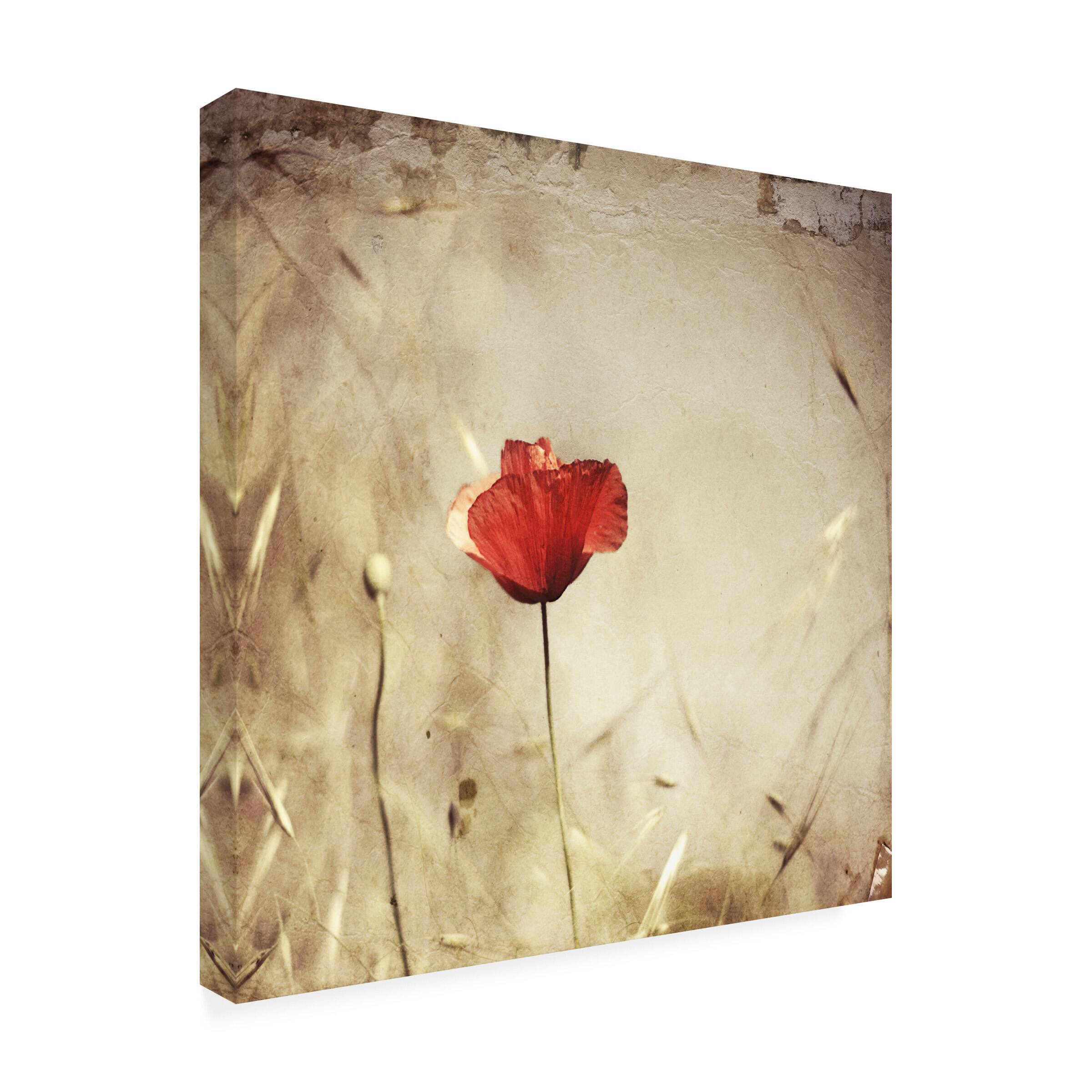 Front. Trademark Fine Art - Ala Pneuma Alone Canvas Art - 24 x 24 Inches - 24x24 - Multicolor.