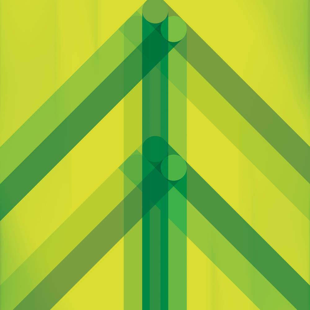 Front. Every Direction Here Is North [LP].