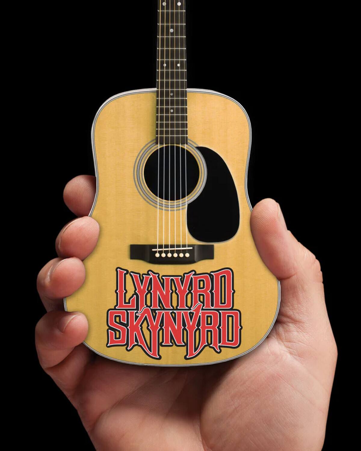 The text on the image is "LYNYRD SKYNYRD."