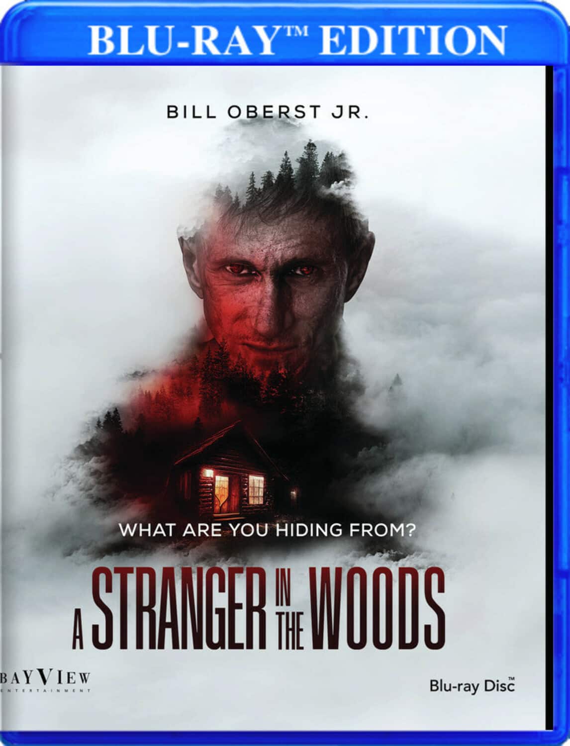A Stranger in the Woods   - BLU-RAY price history on PriceWatchPro