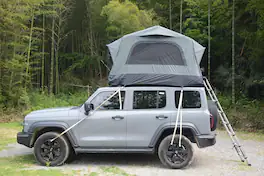 Trinkets Crazed - Inflatable Rooftop Tent for Car SUV Truck,2 Person Roof Top Camping Tent with Mattress & Ladder - Gray