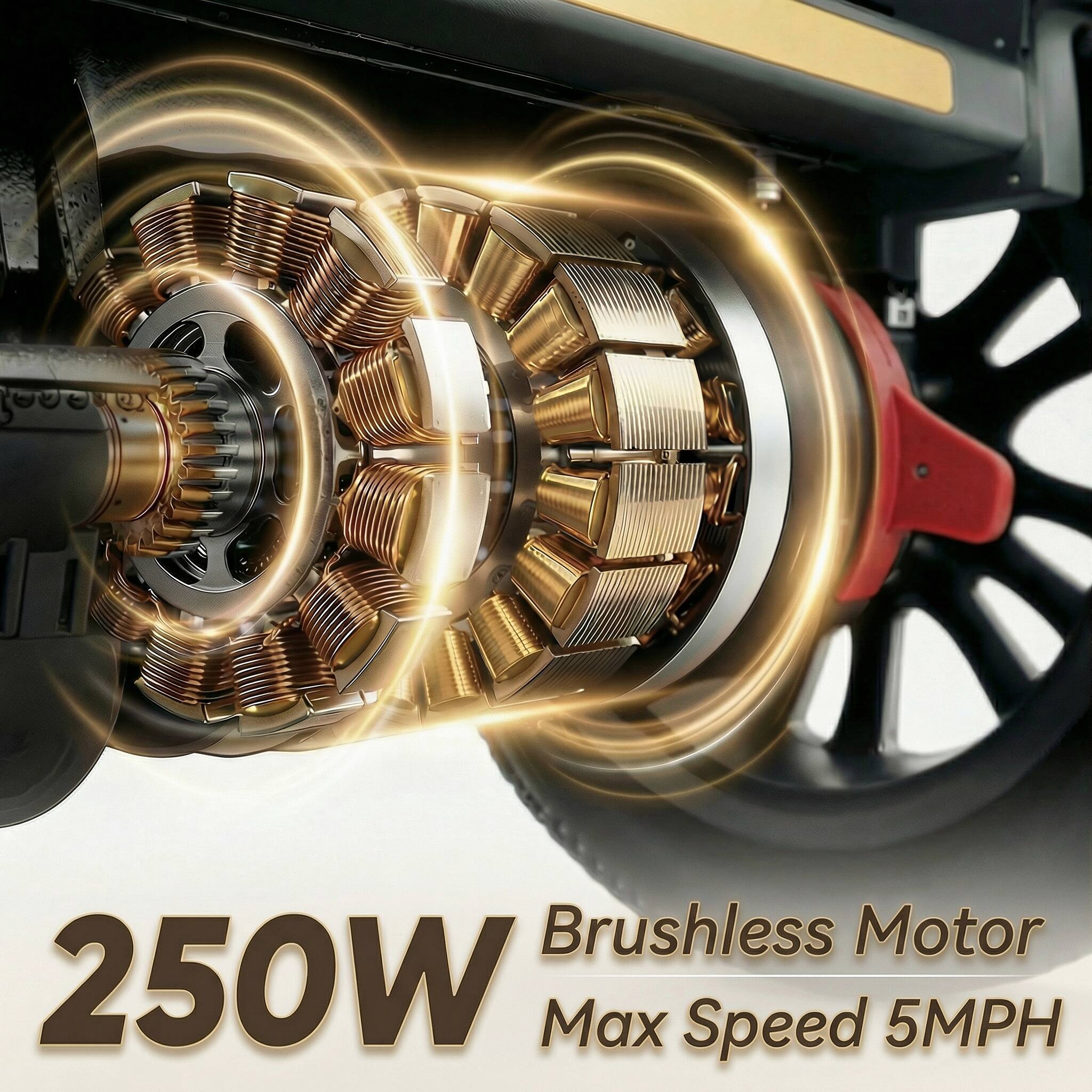 Brushless Motor 250W Max Speed 5MPH