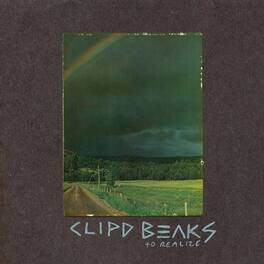 Clipd Beaks - To Realize - VINYL LP