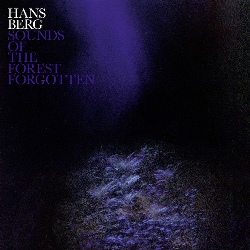 Hans Berg - Sounds of the Forest Forgotten   - VINYL LP price history on PriceWatchPro