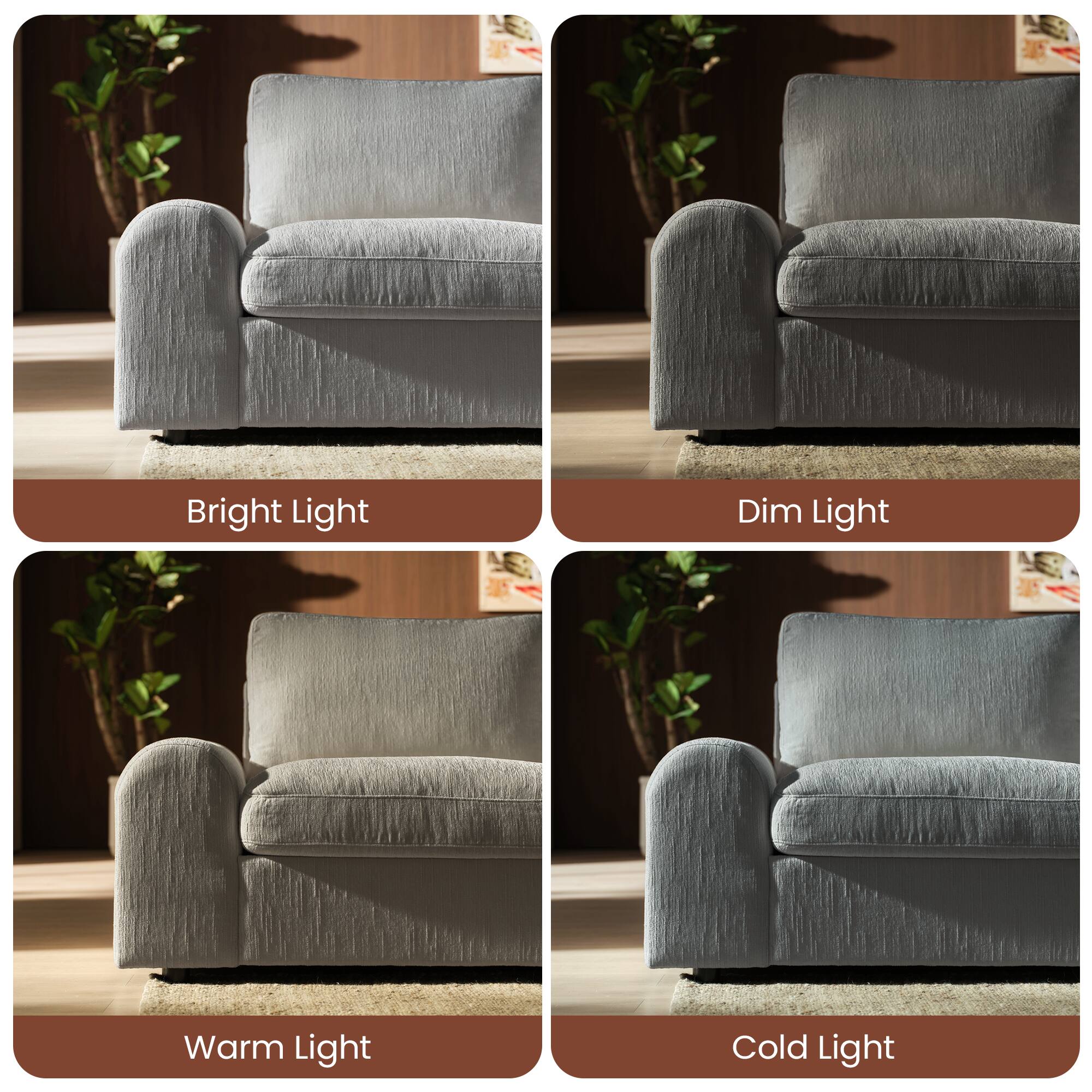 Bright Light  
Dim Light  
Warm Light  
Cold Light