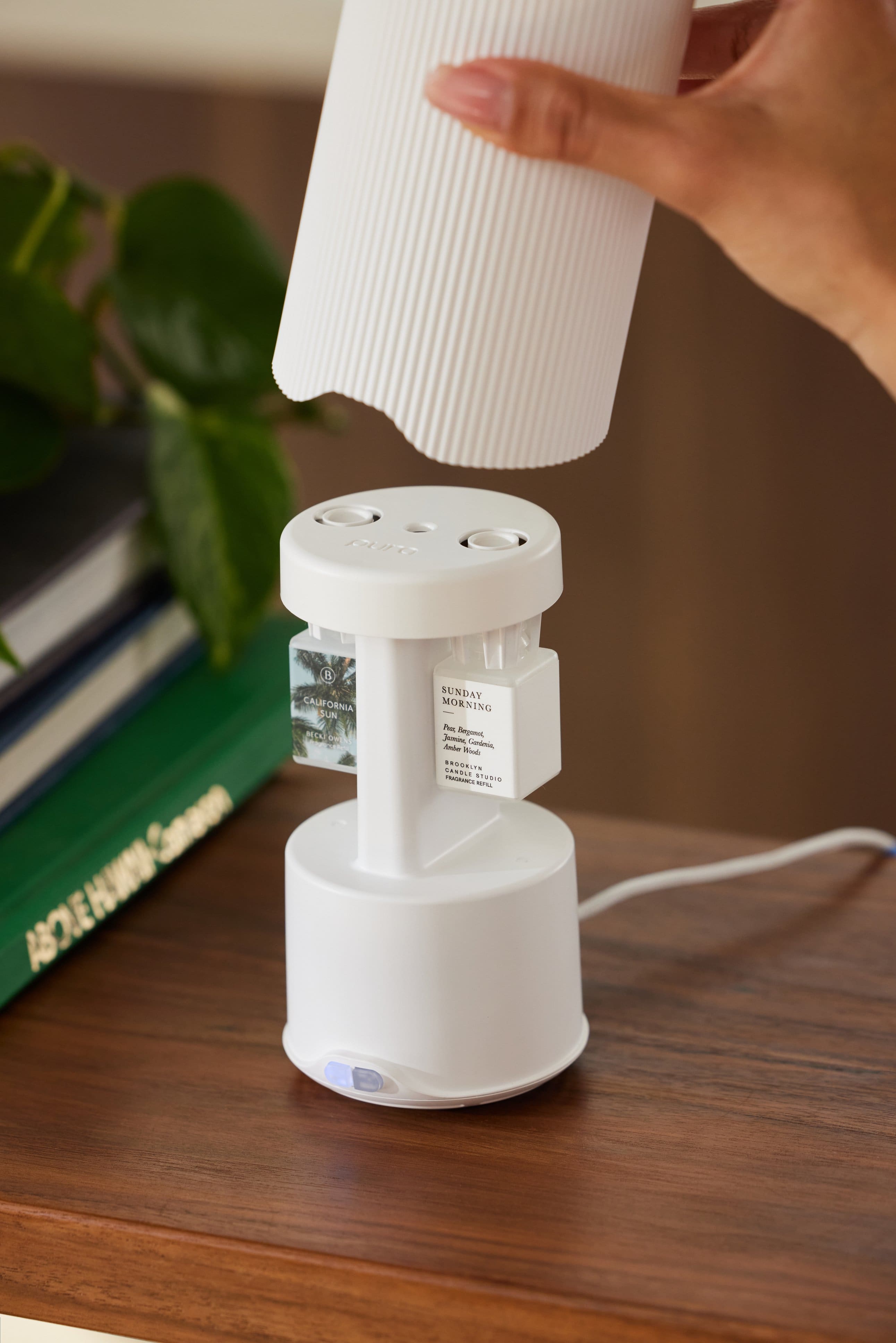 The text on the image reads: "Duro LEN B CALIFORNIA SUN CK tw SUNDAY MORNING P Perunol Jami Candinia Ande Winde EOOR.T. CENBLE TRATRIES stRIN ..." However, it is not clear what the text is referring to or what it means. It appears to be a collection of words or phrases without any coherent meaning.