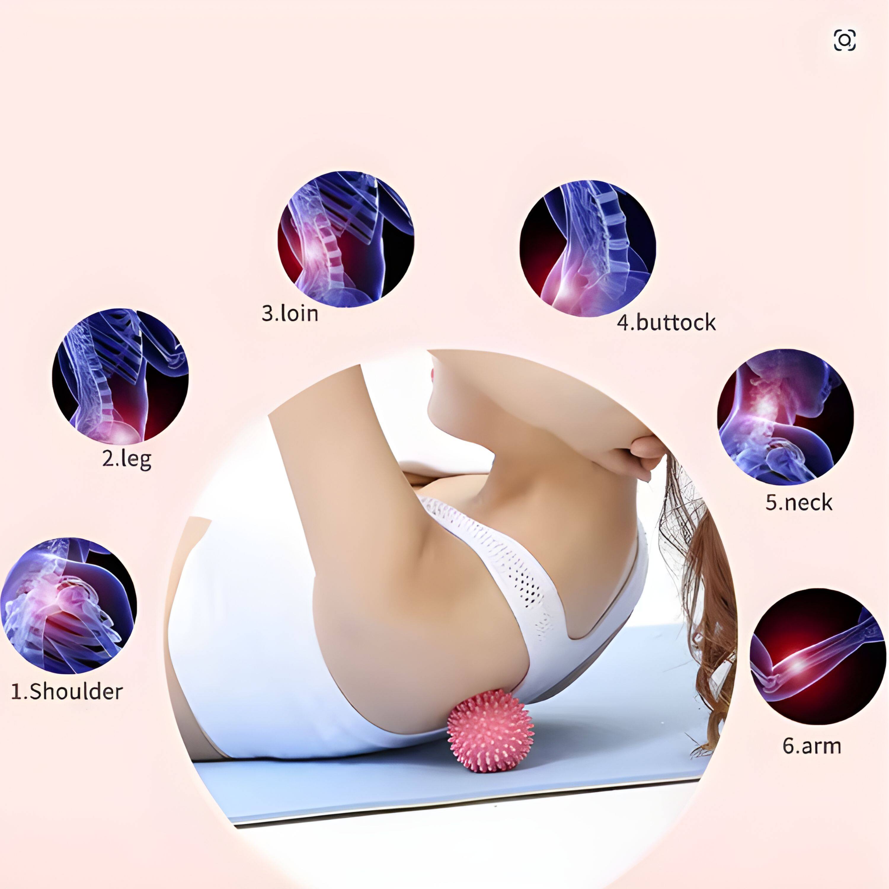 1. Shoulder  
2. Leg  
3. Loin  
4. Buttock  
5. Neck  
6. Arm