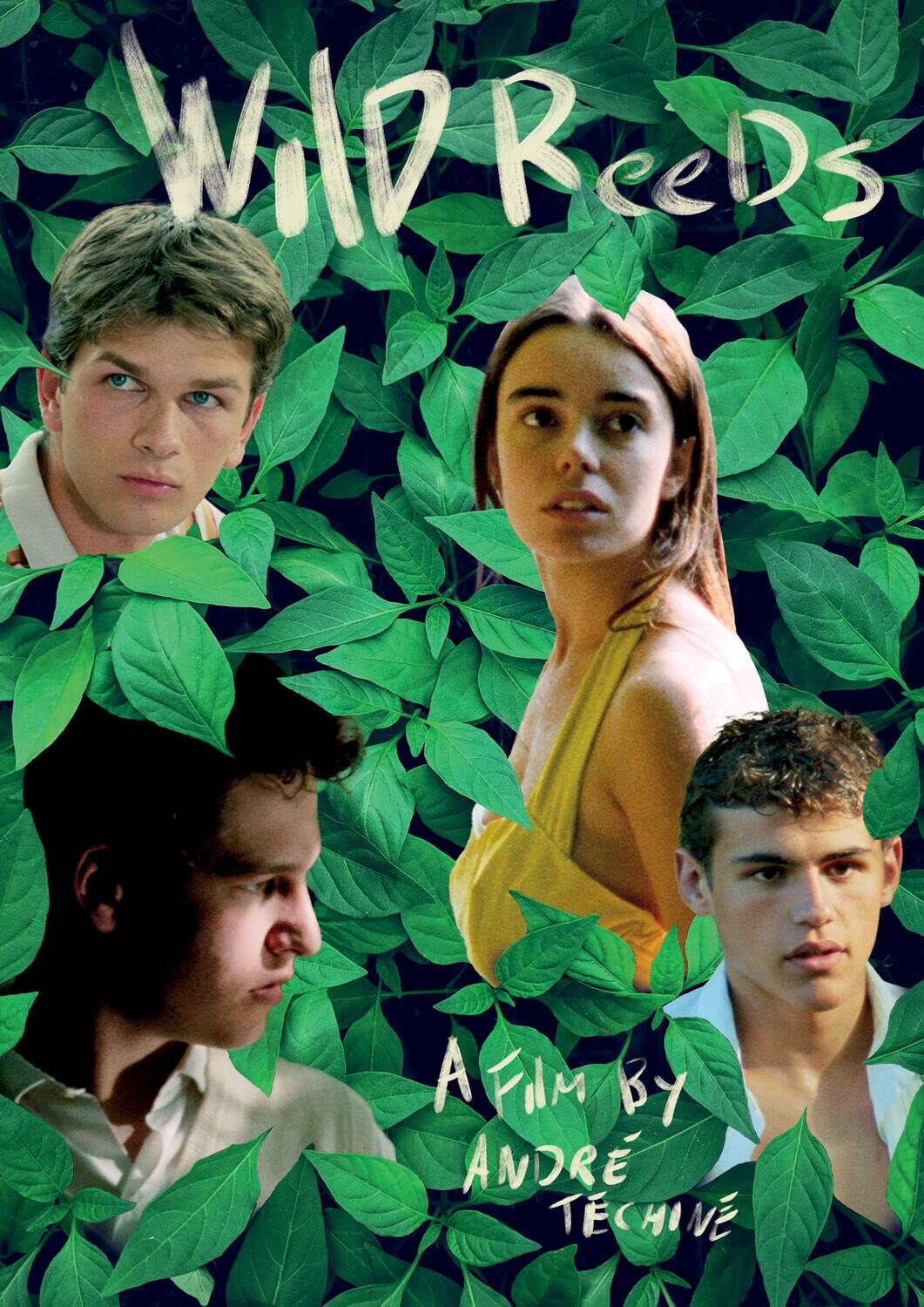Front. Wild Reeds   - DVD.