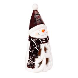 Evergreen Enterprises - South Carolina Gamecocks LED 8" Snowman Lit Garden Statue - Black