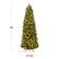 The text on the image indicates the dimensions of the Christmas tree. The tree is 6 feet tall and 27.5 inches wide.