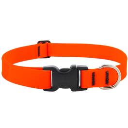 LupinePet - Splash BioThane Dog Adjustable Collar Large - Neon Orange