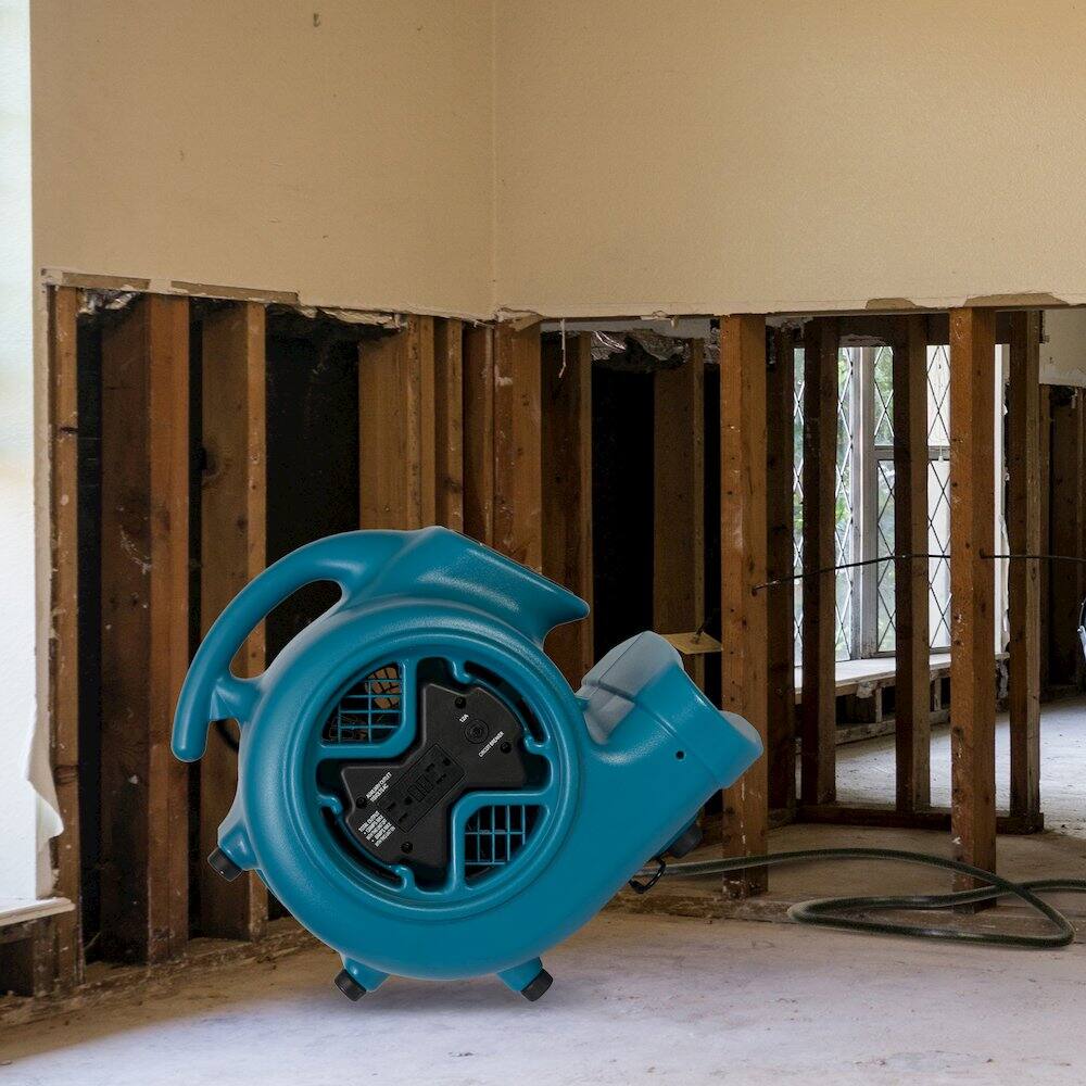 Alt View 4. XPOWER - 1/3 HP 2600 CFM 3 Speed, Carpet Dryer, Blower with Built-in GFCI Power Outlets - Blue.