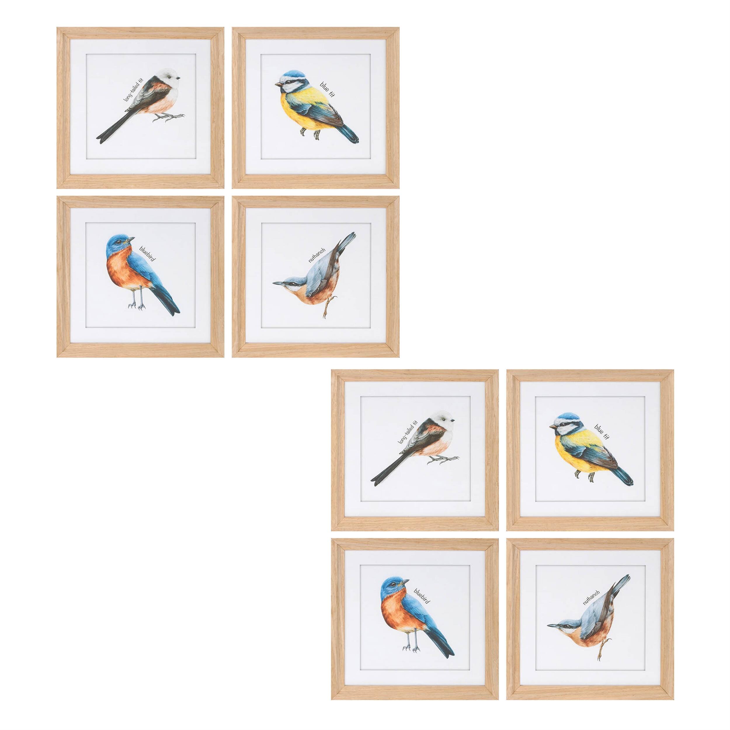 Sure, here is the corrected text from the image:

1. Blue Tit
2. Great Tit
3. Blue Tit
4. Chaffinch
5. Blue Tit
6. Chaffinch
7. Blue Tit
8. Chaffinch