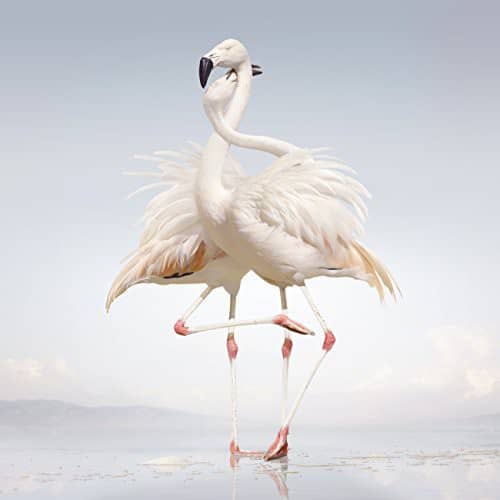 Rustie - Green Language   - VINYL LP