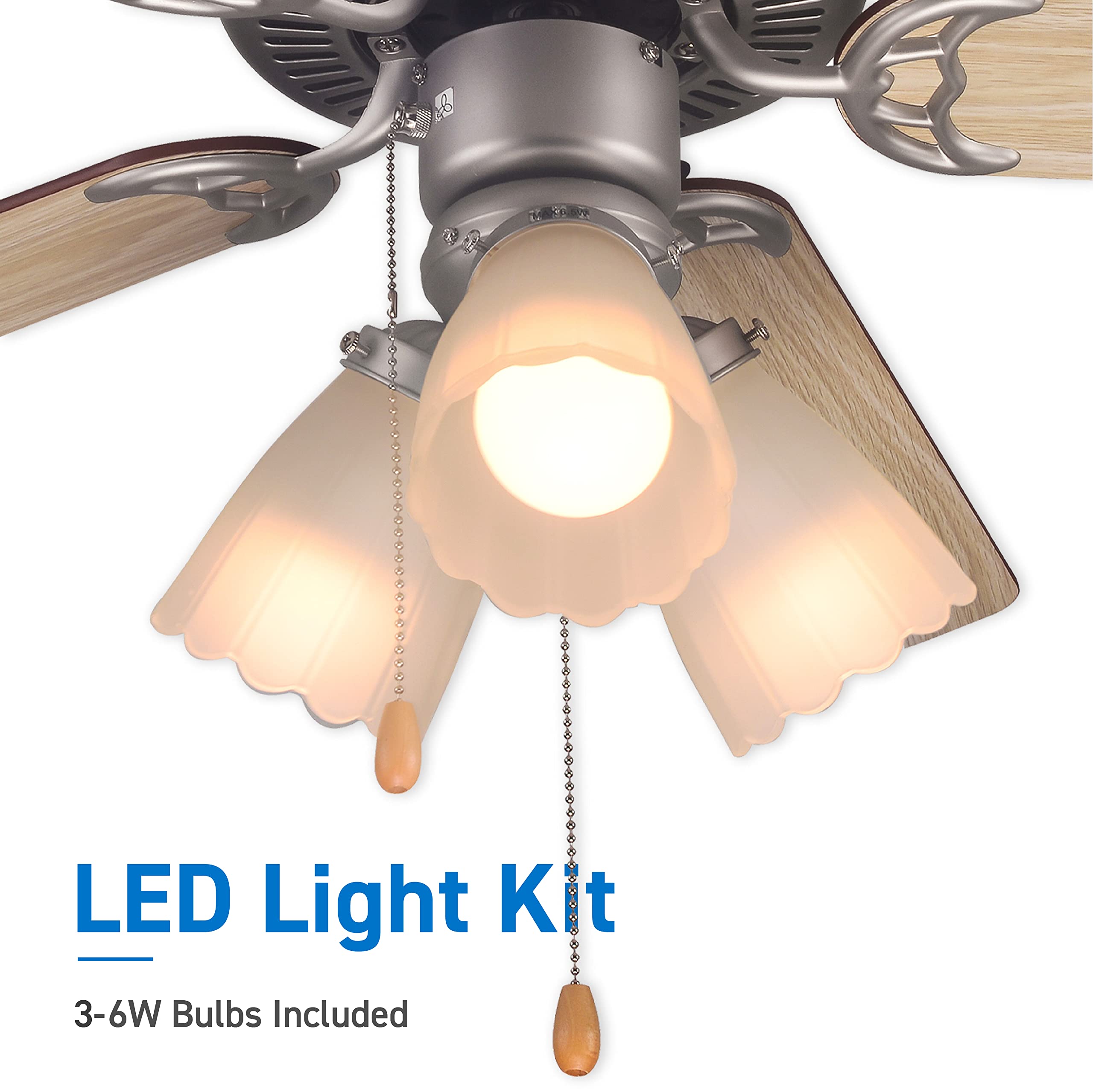 LED Light Kit
3-6W Bulbs Included