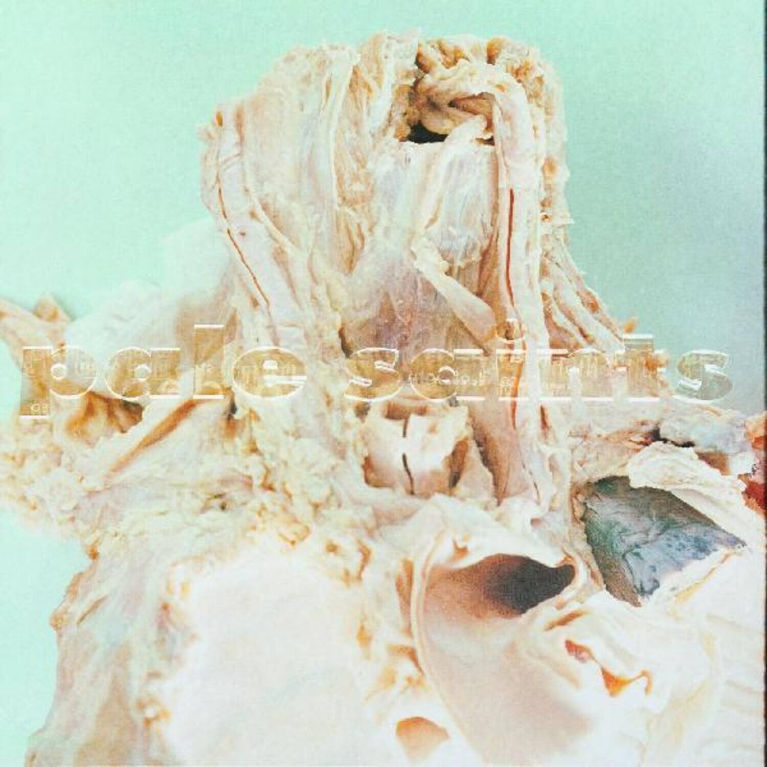 Pale Saints - In Ribbons   - VINYL LP price history on PriceWatchPro