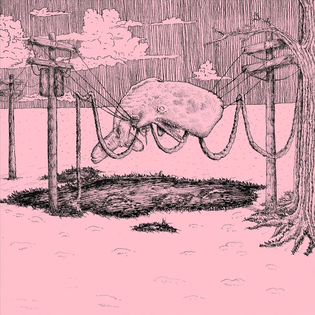 Front. The Whaler [LP].