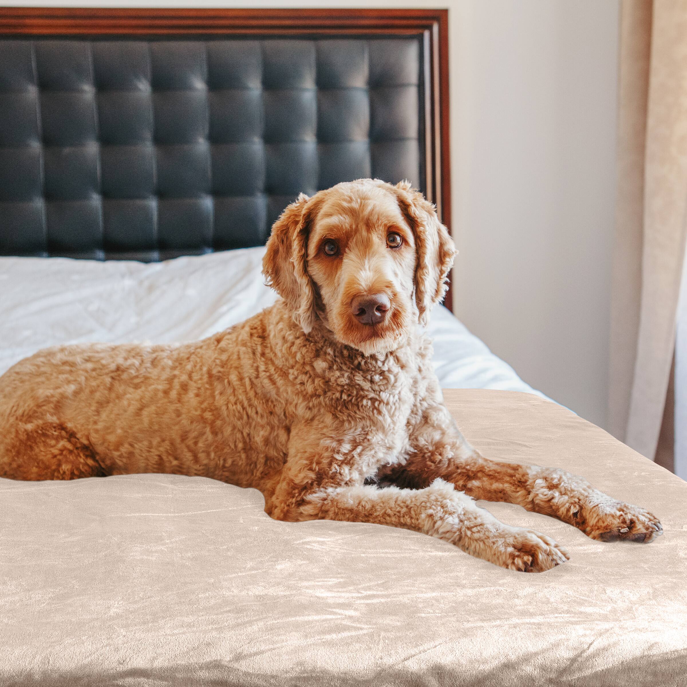 Alt View 9. PetMaker - 60x80in Water-Resistant Dog Blanket - Tan.