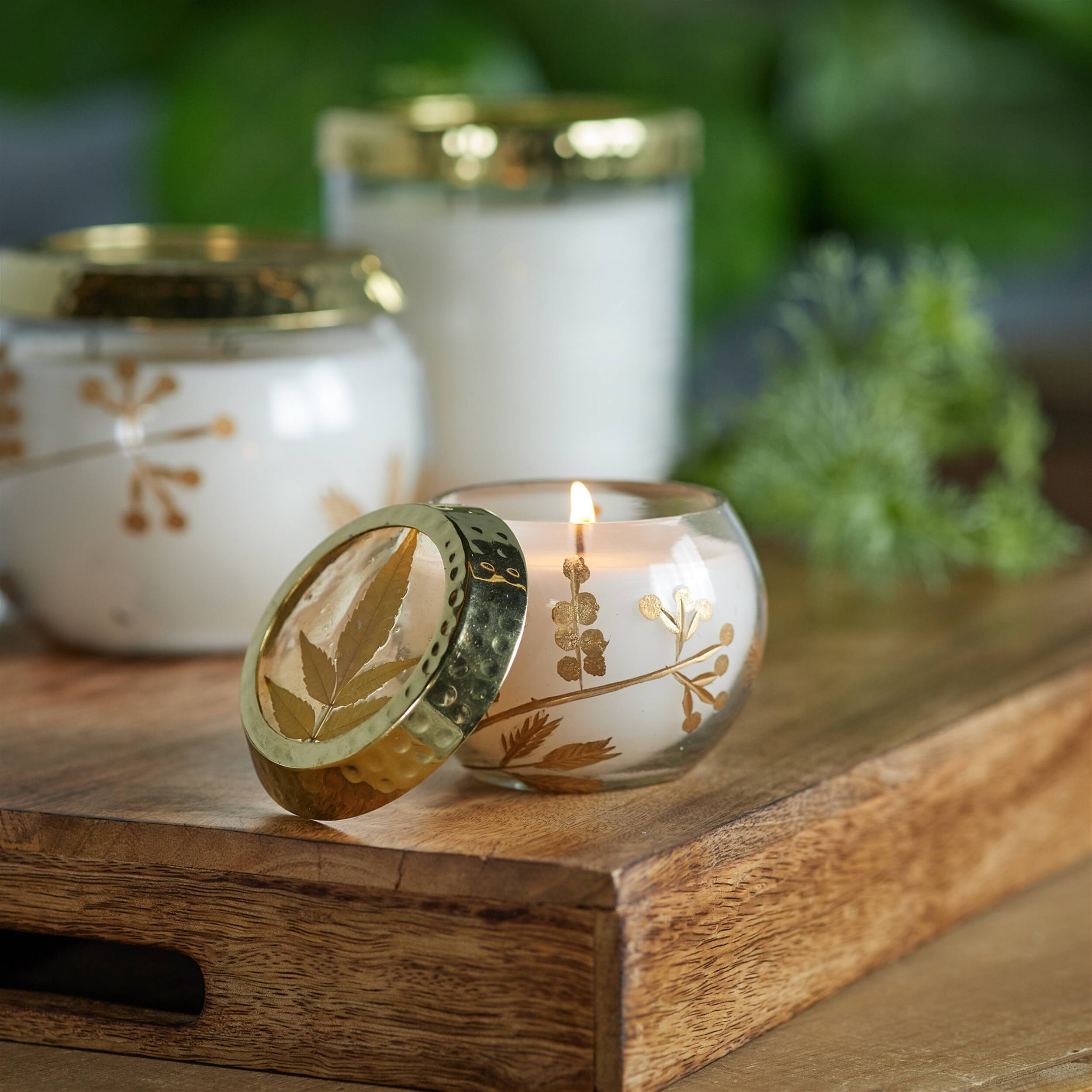 Angle. BreeBe - Frosted Juniper Scented Soy Candle with Pressed Leaf Lid (Set of 3) - White, Gold.